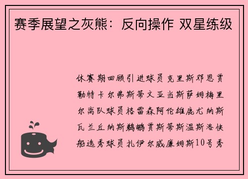 赛季展望之灰熊：反向操作 双星练级